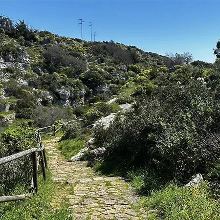 Aradia Gagliano del Capo
