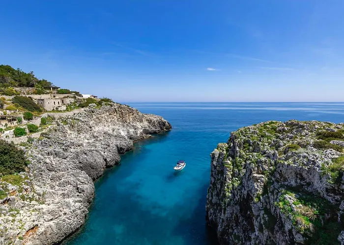 Aradia Дом отдыха